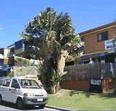 Melaluka And Costa Bella Luxury Apartments - Accommodation Broome