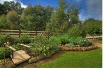 Peppermint Springs Retreat & Day Spa - Accommodation Broome 2