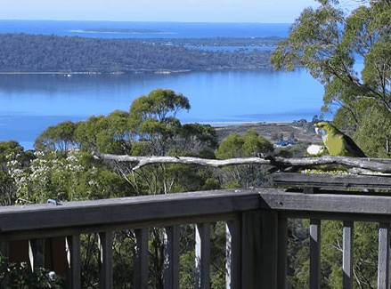 Bed in the Treetops - Accommodation Broome