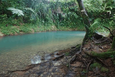 Diwan QLD Accommodation Broome