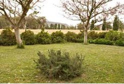 Claremont Cottage - Accommodation Broome 2