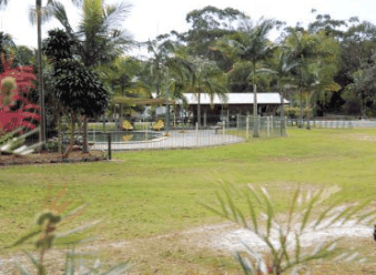 Minnie Water Holiday Park - Accommodation Broome 5