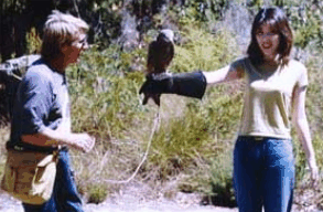 Eagles Heritage Raptor Wildlife Centre - Accommodation Broome 2