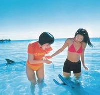 Kookaburra Air - Accommodation Broome