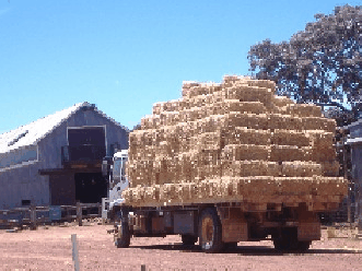 Avondale Discovery Farm - Accommodation Broome 1