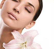 Stephanies Spa Retreat - Accommodation Broome