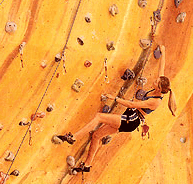 Rocksports Indoor Climbing - Accommodation Broome