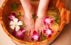 Indulge Spa Retreat - Accommodation Broome 0