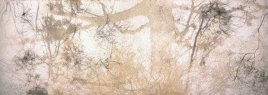 Dianne Tanzer Gallery & Projects - Accommodation Broome 3