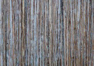 Bower Gallery - Accommodation Broome 2