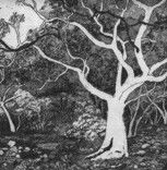 Tacit Contemporary Art - Accommodation Broome 0