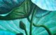 Quinch Art - thumb 3