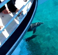 Pelican Charters - Accommodation Broome