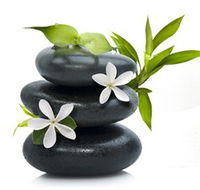 Tea House Spa Sauna - Accommodation Broome