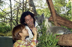 Taronga Zoo - Accommodation Broome 2