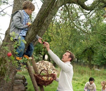 Eastland Shopping Centre - Accommodation Broome 3