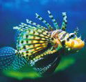 Underwater World - Accommodation Broome