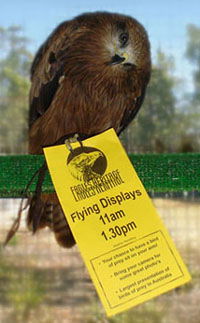 Eagles Heritage - Accommodation Broome 1
