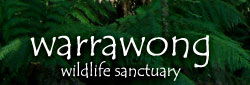 Warrawong Wildlife Park - Accommodation Broome 0