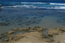 Canberra Contemporary Art Space - Accommodation Broome