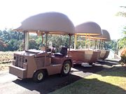 The Big Pineapple - Accommodation Broome 2