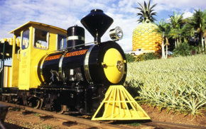 The Big Pineapple - Accommodation Broome 3