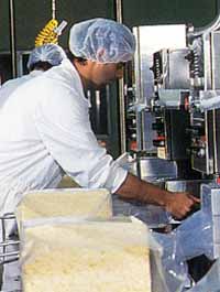 Allansford Cheese World - Accommodation Broome 1
