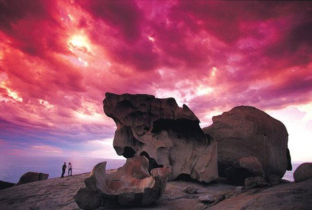 Kangaroo Island Adventure Tour 2 Day/1 Night - Accommodation Broome 0