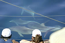 Temptation Sailing - Accommodation Broome 2