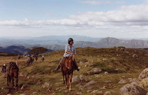 High Country Horses - Accommodation Broome 0