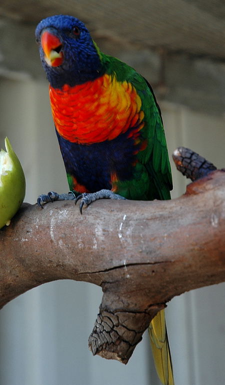 Bunbury Wildlife Park - Accommodation Broome 3