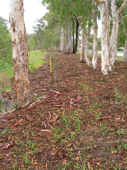 Kumbartcho Sanctuary - Accommodation Broome 1
