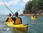 Sydney Harbour Kayaks - Accommodation Broome 1