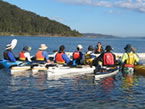 Sydney Harbour Kayaks - Accommodation Broome 2