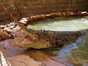North West WA Accommodation Broome