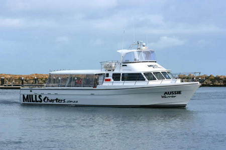 Mills Charters Fishing And Whale Watch Cruises - Accommodation Broome 1