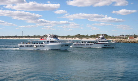 Mills Charters Fishing And Whale Watch Cruises - Accommodation Broome 2