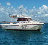 Sunshine Coast Fishing Charters - Accommodation Broome 1