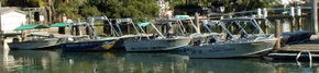 Brooklyn Central Boat Hire & General Store - Accommodation Broome 1