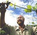Barossa Experience Tours - Accommodation Broome