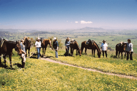 Watsons Trail Rides - Accommodation Broome 1