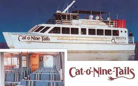 Cat O' NineTails - Accommodation Broome 1