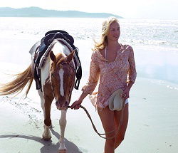 Ride The Beach - Accommodation Broome 3