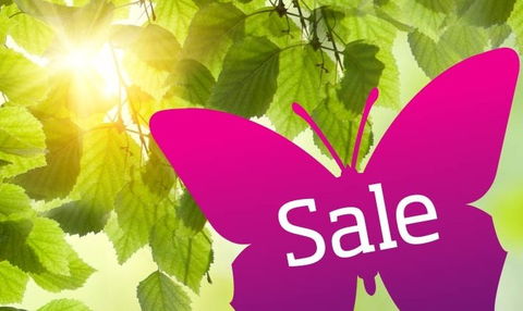 Wintergarden Shopping Centre - Accommodation Broome 0