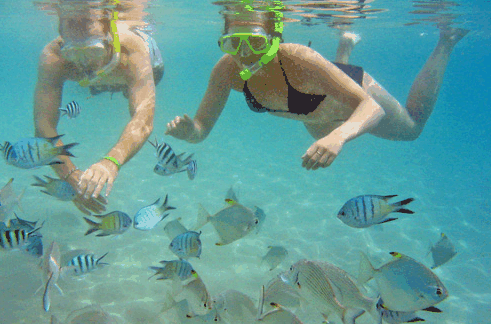 Australian Kayaking Adventures - Accommodation Broome 2