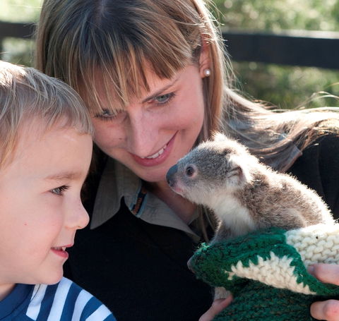 Australian Reptile Park - Accommodation Broome 1