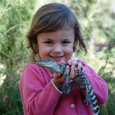 Australian Reptile Park - Accommodation Broome 2