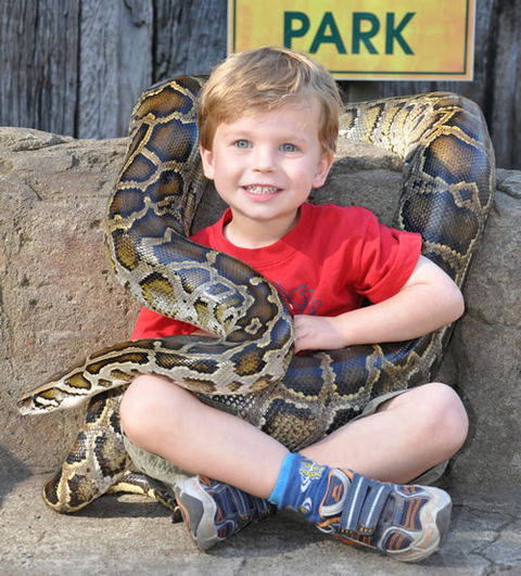 Australian Reptile Park - Accommodation Broome 3