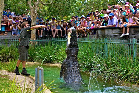 Australian Reptile Park - Accommodation Broome 4