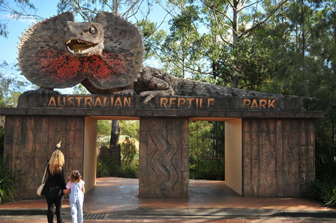 Australian Reptile Park - Accommodation Broome 5